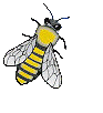 big_bee.gif image by KINGBEES