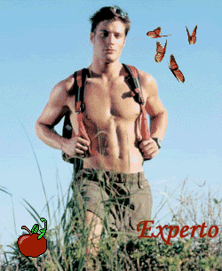 1747516Animation2e.gif image by pixel_digital